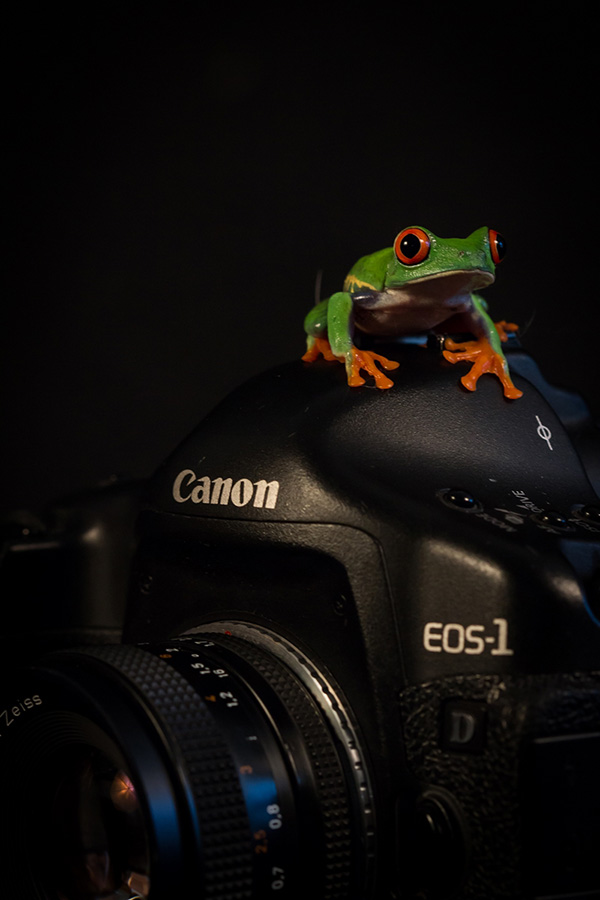 fotografía profesional de estudio cerca de Murcia